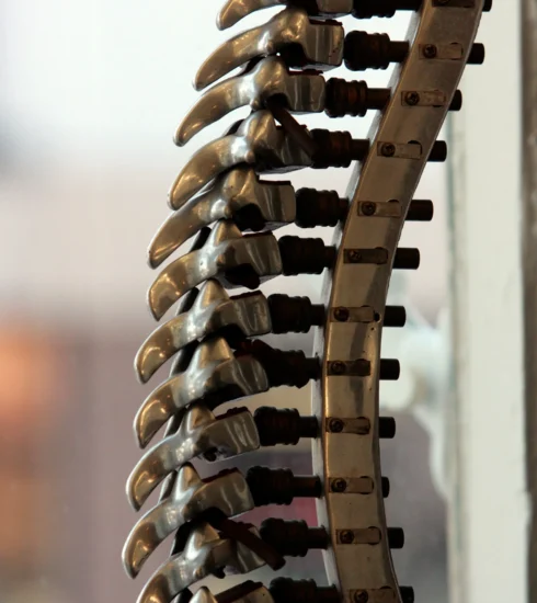 columna vertebral postura correcta espalda alineacion columna